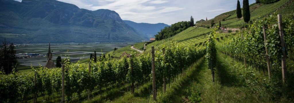 Wines of Spain at the Charm City Wine School